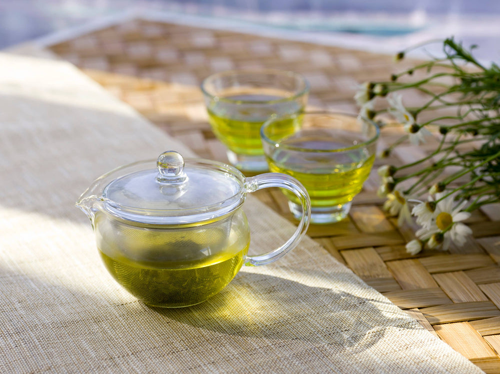 Hario Cha Cha Kyusu Maru - Heatproof Glass Tea Pot