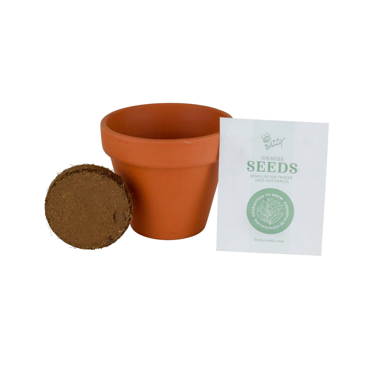 Buzzy Seeds Classic Terra Cotta Grow Kit, Lavender