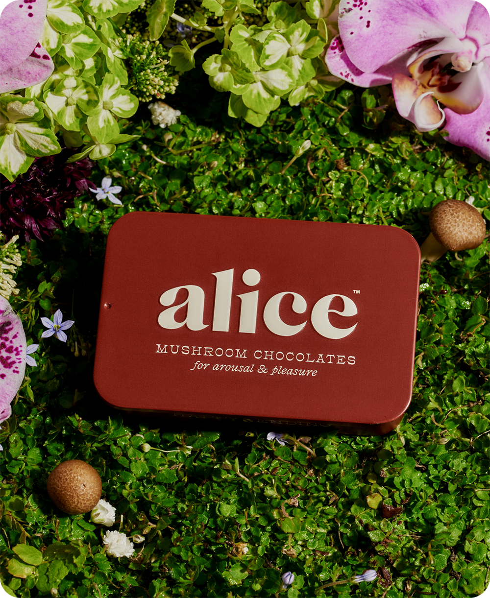 Alice Mushrooms Happy Ending Mushroom Chocolate for Arousal