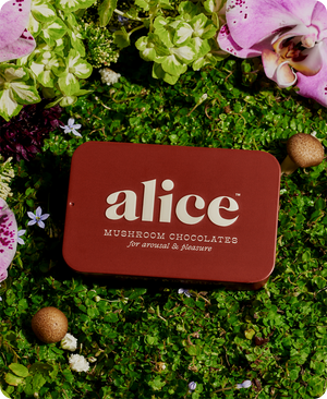 Alice Mushrooms Happy Ending Mushroom Chocolate for Arousal