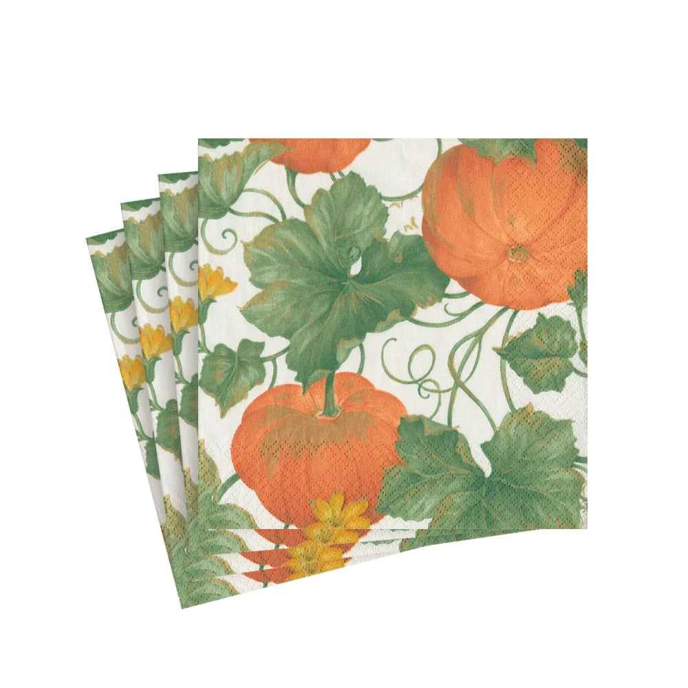Caspari Heirloom Pumpkin Ivory/Orange Cocktail Napkins, Set of 20