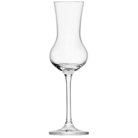 Bar Special Grappa Glass