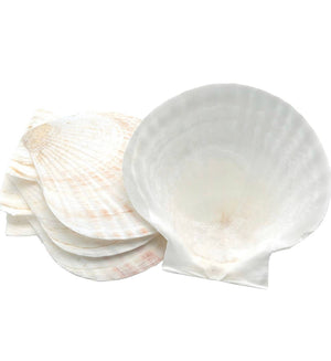 Nantucket Seafood Baking Shells 4" 4/set