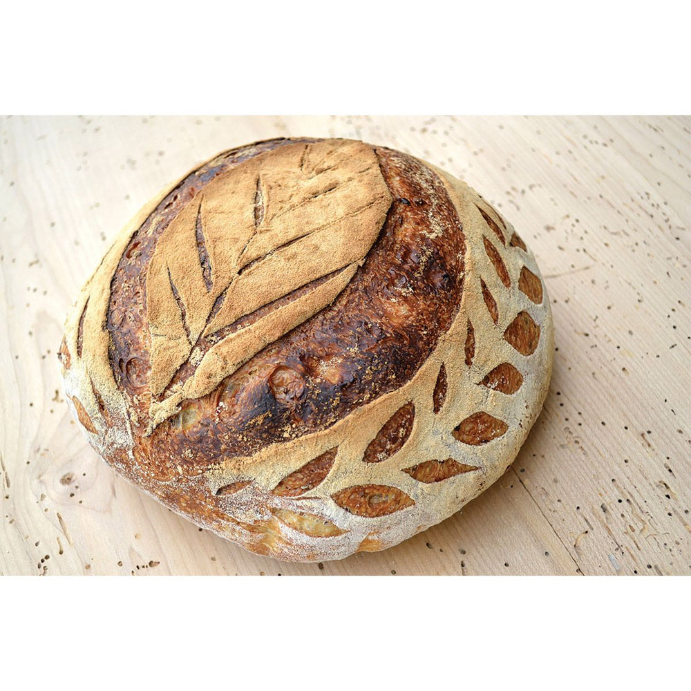 Mrs. Anderson's Artisan Baking Bread Lame