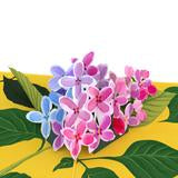 Lovepop Lilacs Card