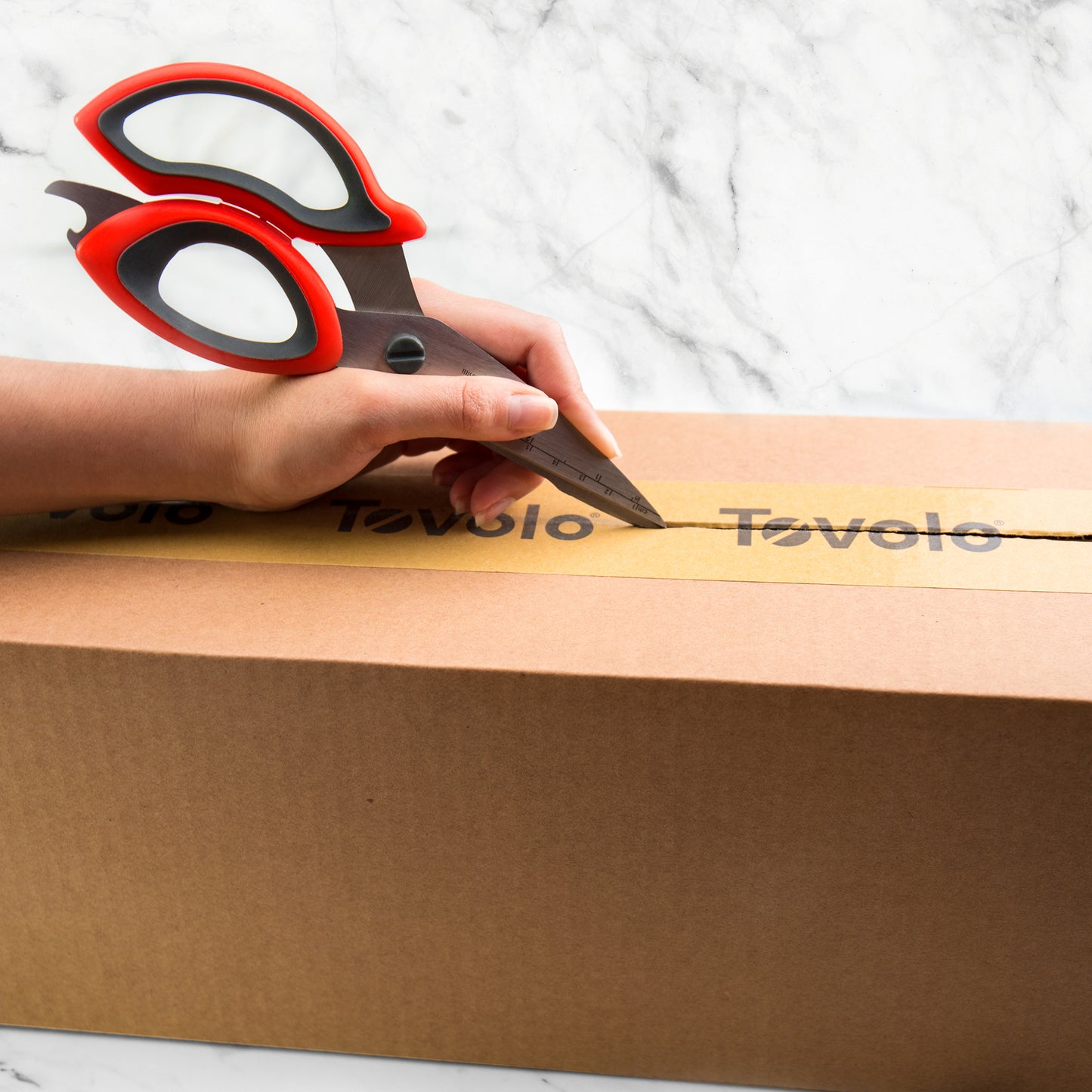 Tovolo Kitchen Shears
