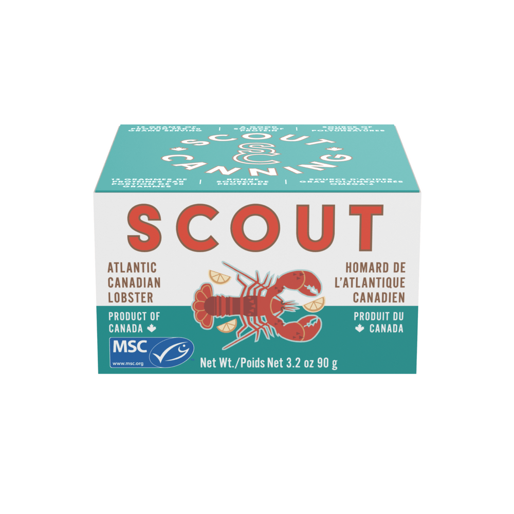 Scout - Atlantic Canadian Lobster