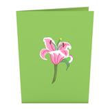 Lovepop Lily Bloom Pop Card