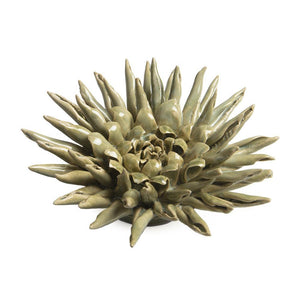 
            
                Load image into Gallery viewer, Ceramic Coral Green
            
        