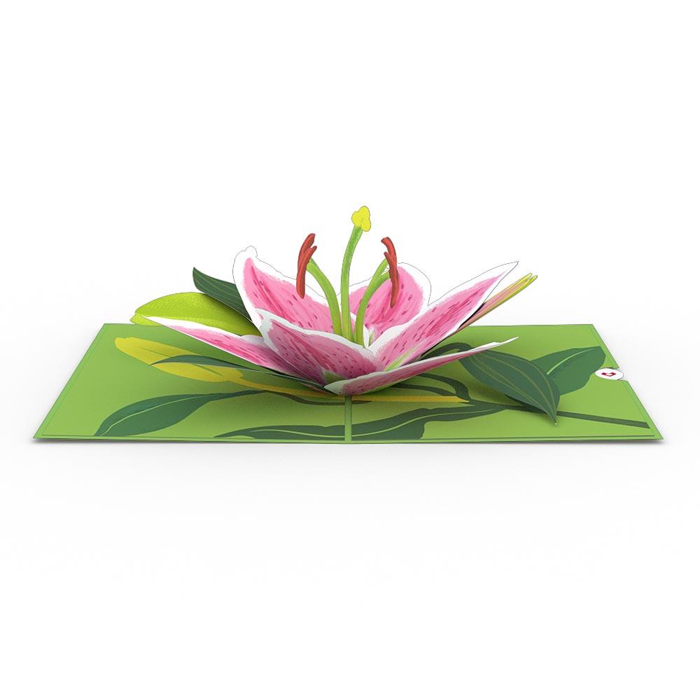 Lovepop Lily Bloom Pop Card