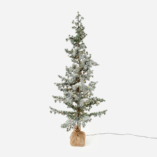Lighted Display Pine Trees
