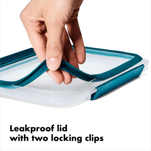OXO Prep & Go Salad Container